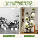 Indoor Plant Stand with Grow Lights 58" Tall 8-Tier Corner Metal Plant Shelf by LJGDeals