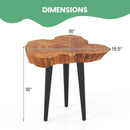 Irregular Solid Teak Wood End Table with Mahogany Tapered Legs by LJGDeals