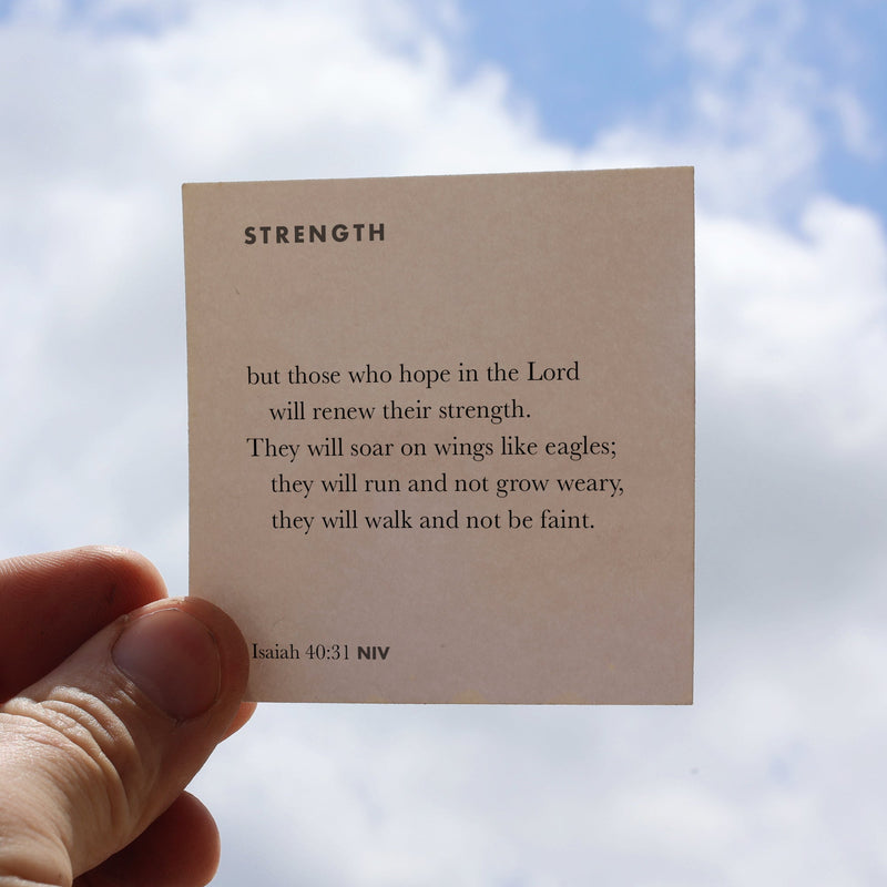 365 Bible Memory Cards