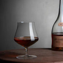Islands Set of Two Cognac Tasting Glasses by NUDE USA