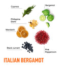 Advanced In-Wash Scent Booster