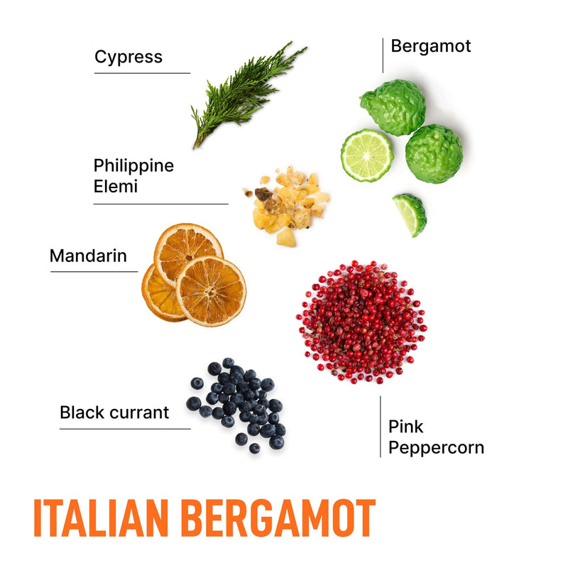 Advanced In-Wash Scent Booster