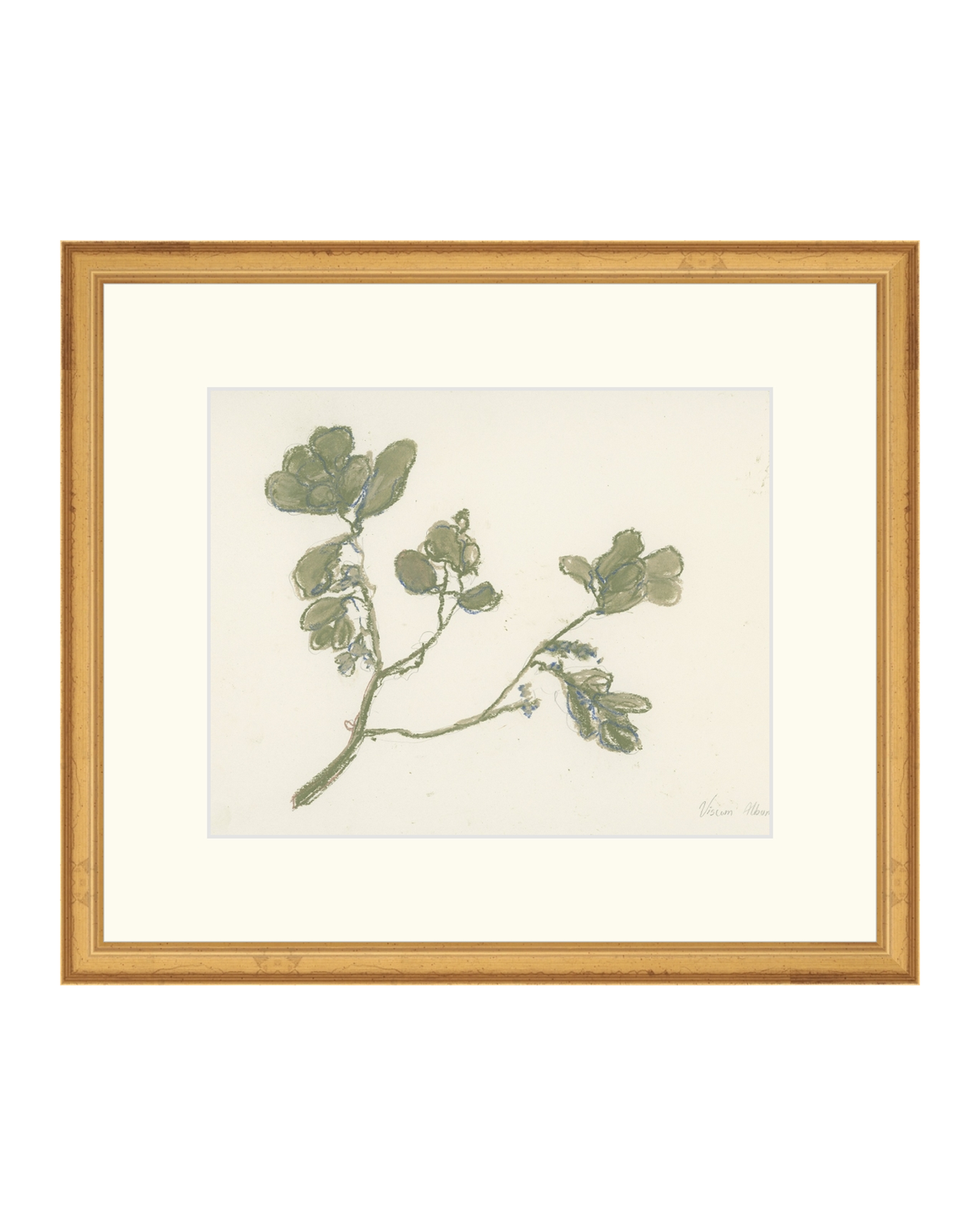 Pastel Mistletoe, photo 11 of 28
