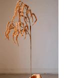 Artificial Amaranth Stem 23.6" Tall