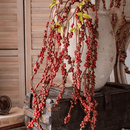 Artificial Areca Nut Stem 42.5" Long
