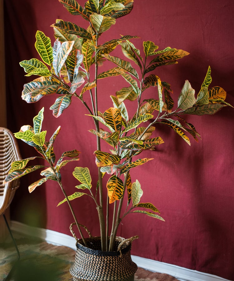 Large Leaf Artificial Croton Tree In Pot