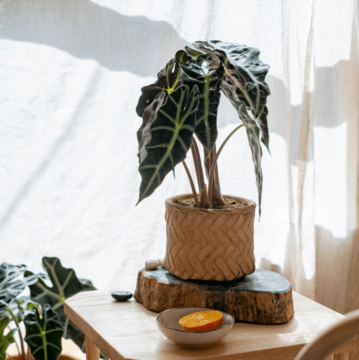Bamboo Looking Cement Planter, photo 5 of 10
