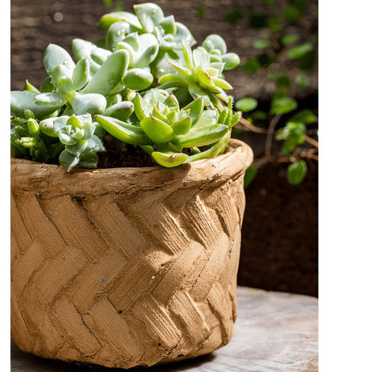 Bamboo Looking Cement Planter, photo 7 of 10