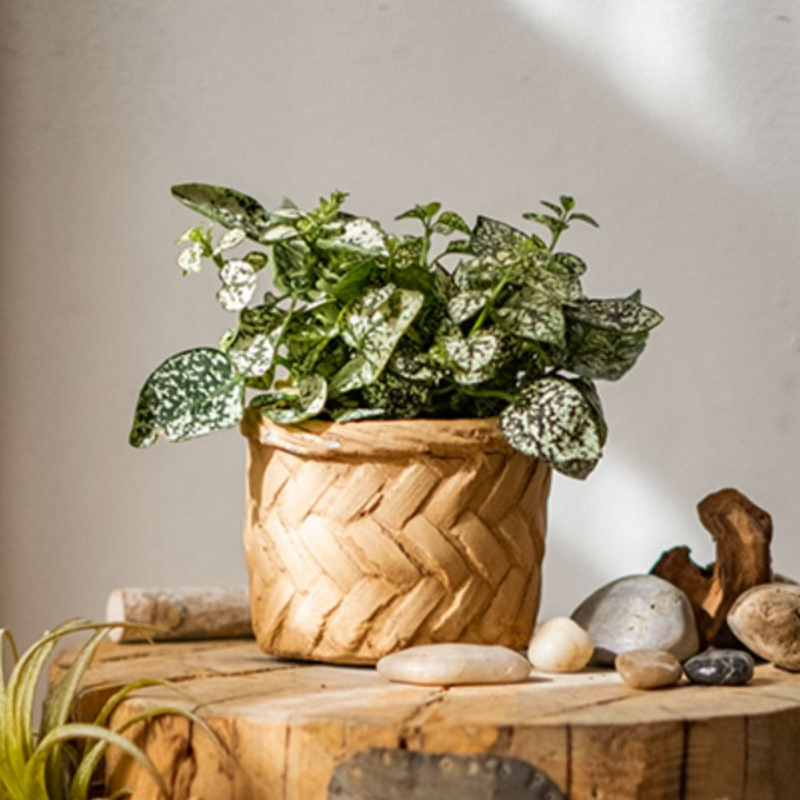 Bamboo Looking Cement Planter