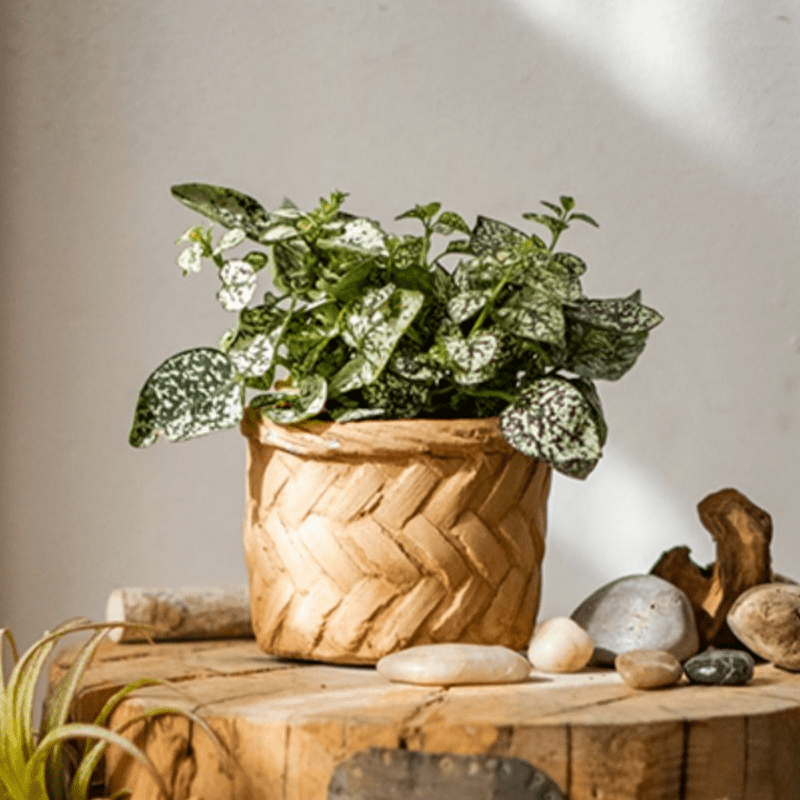 Bamboo Looking Cement Planter