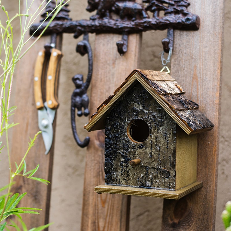 Birch Wood Decorative Bird House