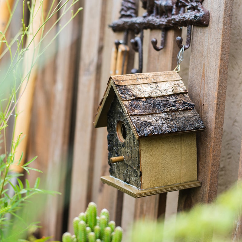 Birch Wood Decorative Bird House