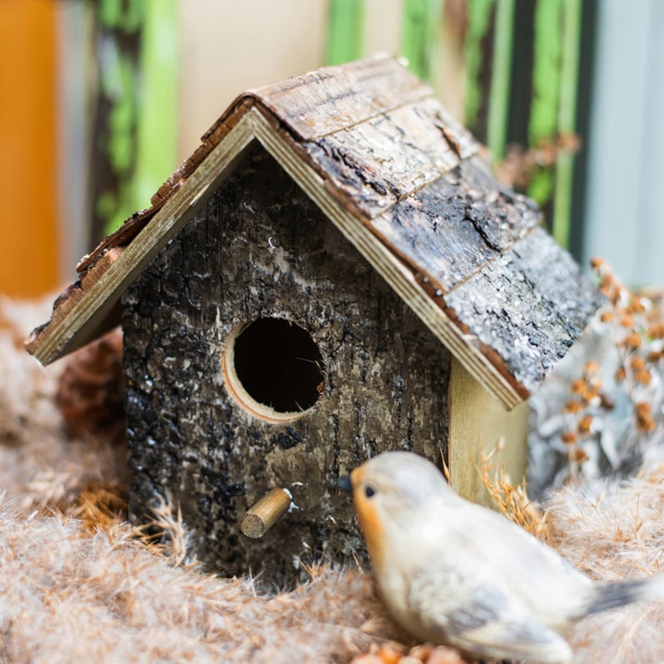 Birch Wood Decorative Bird House