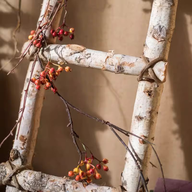 White Birch Wood Decorative Ladder, photo 4 of 8