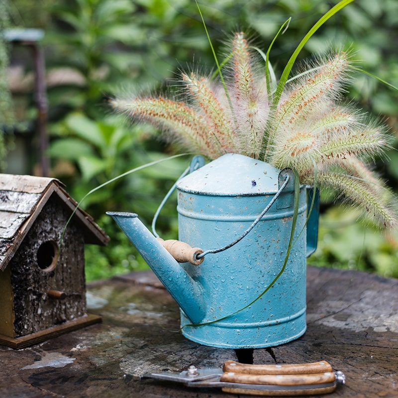 Blue Metal Rustic Watering Can