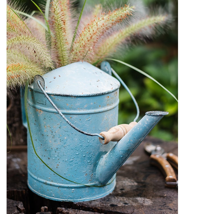 Blue Metal Rustic Watering Can