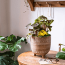 Bohemian Red Clay Planter
