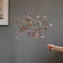 Brown Faux Pod Branch with Leaves 43" Tall