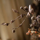 Brown Faux Pod Branch with Leaves 43" Tall