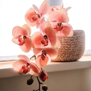 Artificial Butterfly Orchid Stem in Pink 27.5" Tall by RusticReach