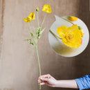 Silk Common Poppy Flower Stem 22" Tall