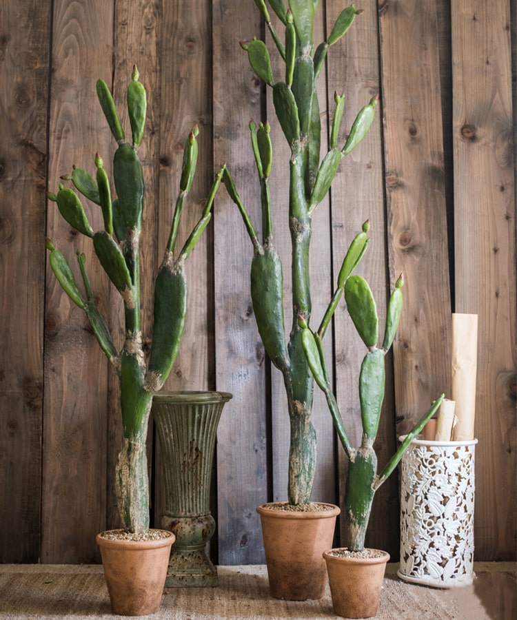 Artificial Plant Morelos Cactus In Pot