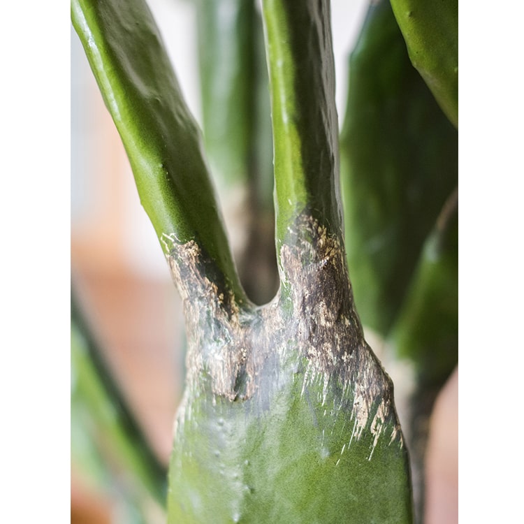 Artificial Plant Morelos Cactus In Pot