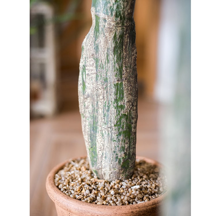 Artificial Plant Morelos Cactus In Pot