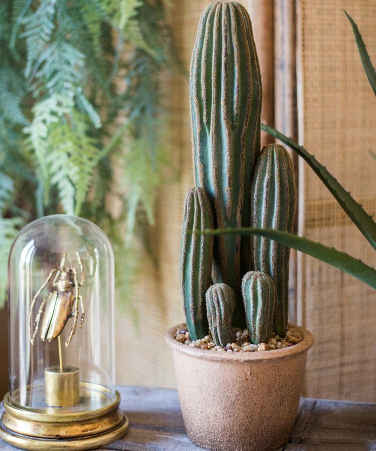 Artificial Faux Cactus in Brown Pot