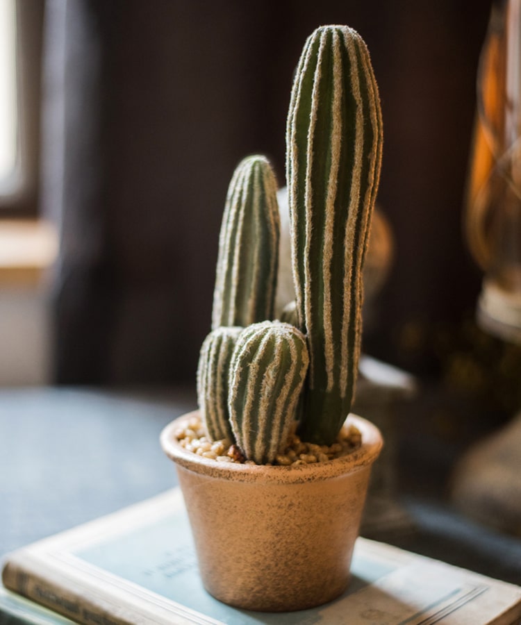 Artificial Faux Cactus in Brown Pot