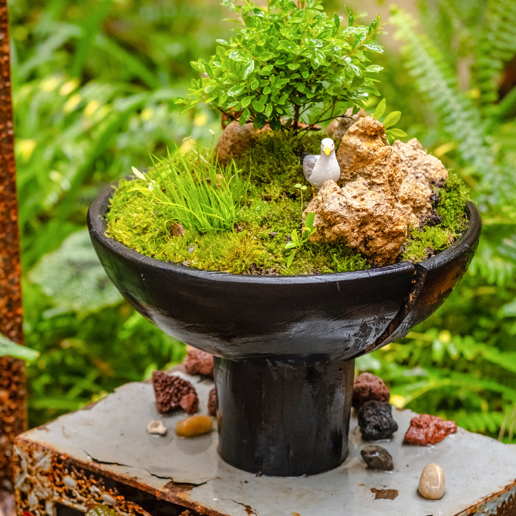 Carbonized Wood Footed Bowl