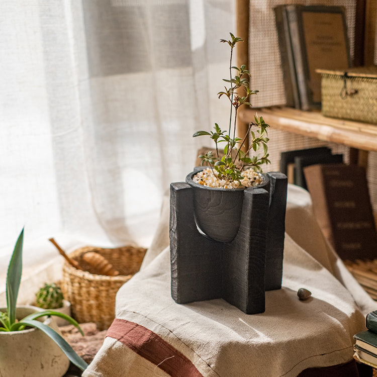 Carbonized Wood Plant Bowl with Stand