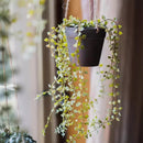 Hanging Faux Ceropegia Vine in Pot