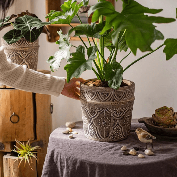 Classic Element Art Planter Clay Flowerpot, photo 2 of 10