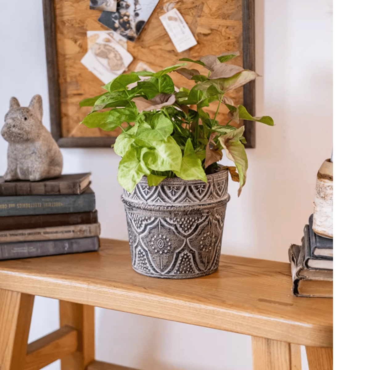Classic Element Art Planter Clay Flowerpot, photo 3 of 10