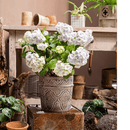 Classic Element Art Planter Clay Flowerpot