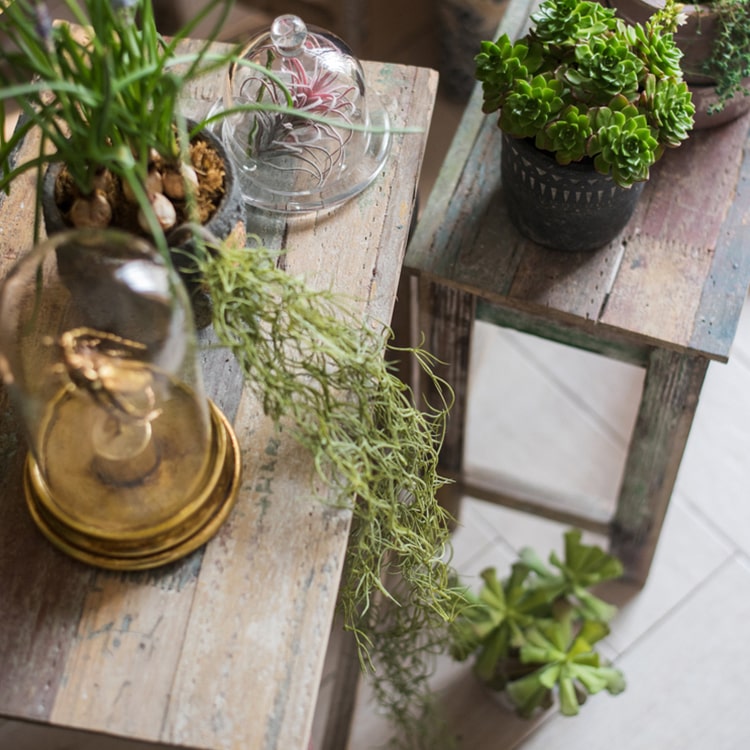 Colorful Solidwood Plant Stand Side Table