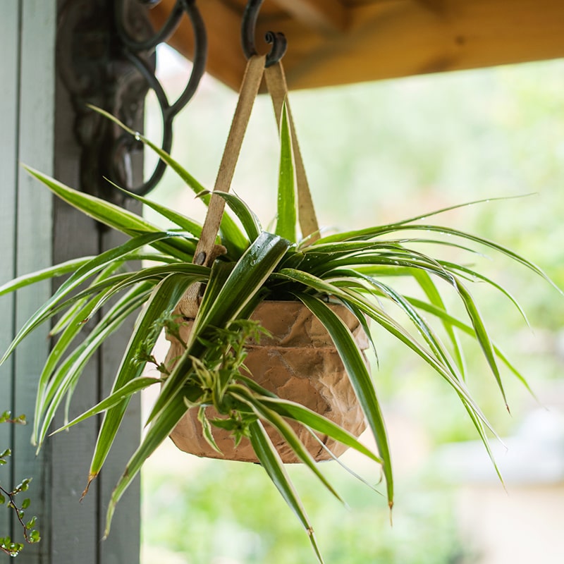 Craft Paper Bag Style Concrete Hanging Pot