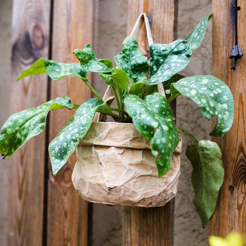 Craft Paper Bag Style Concrete Hanging Pot