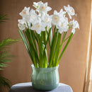 Faux Silk White Faux Daffodil Flower Stem 19" Tall