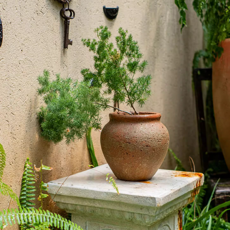 Distressed Cement Plant Pot