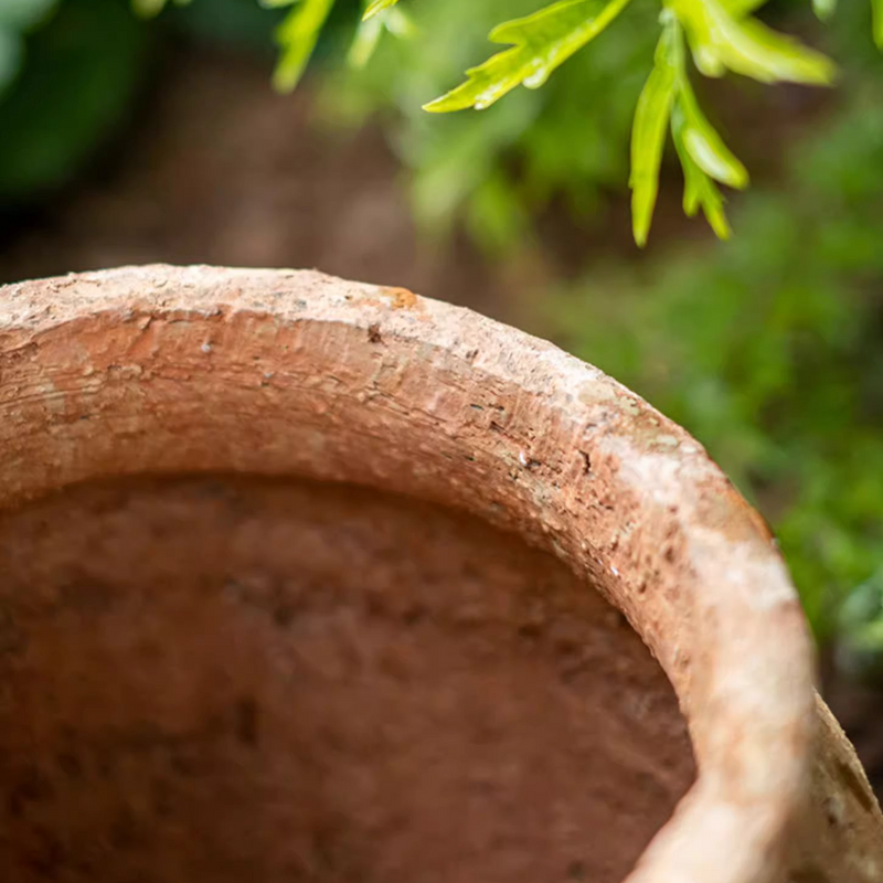 Distressed Cement Plant Pot