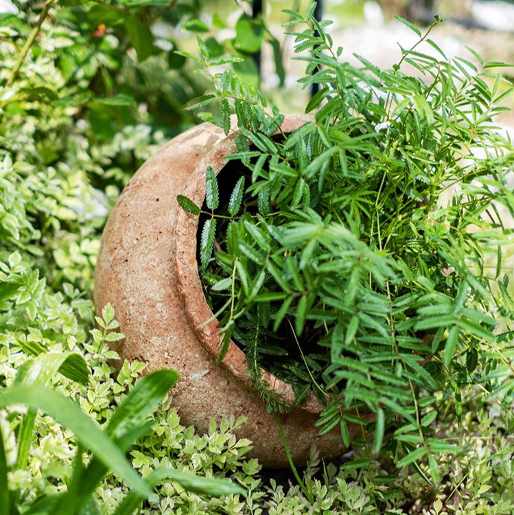 Distressed Cement Plant Pot