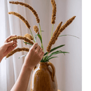 Three-Headed Dogtail Grass Stem 39" Tall