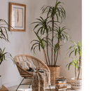 Artificial Dracaena Tree