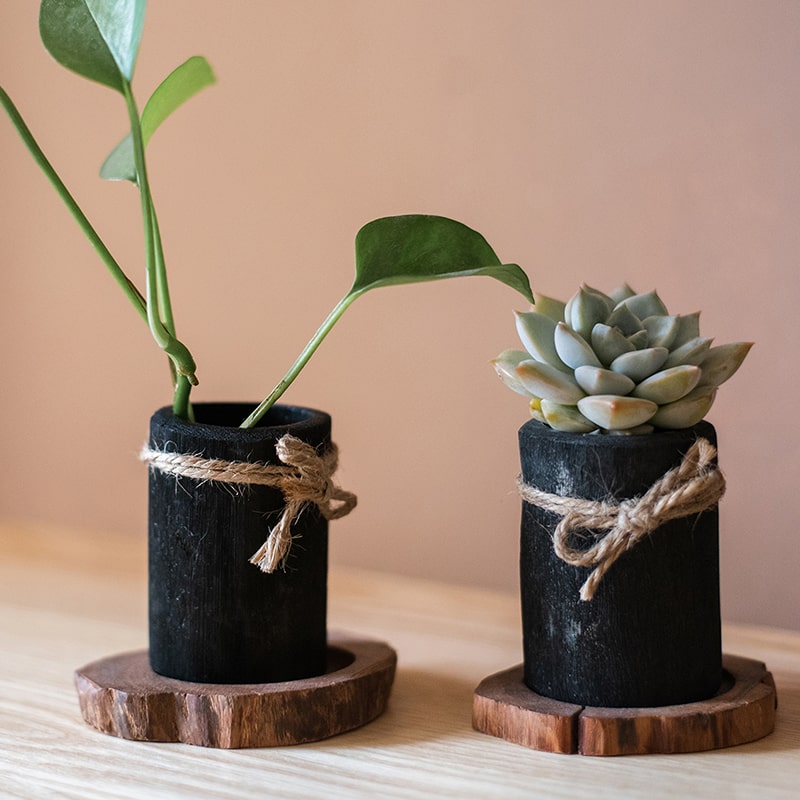 Desktop Charcoal Planter Wood Tray