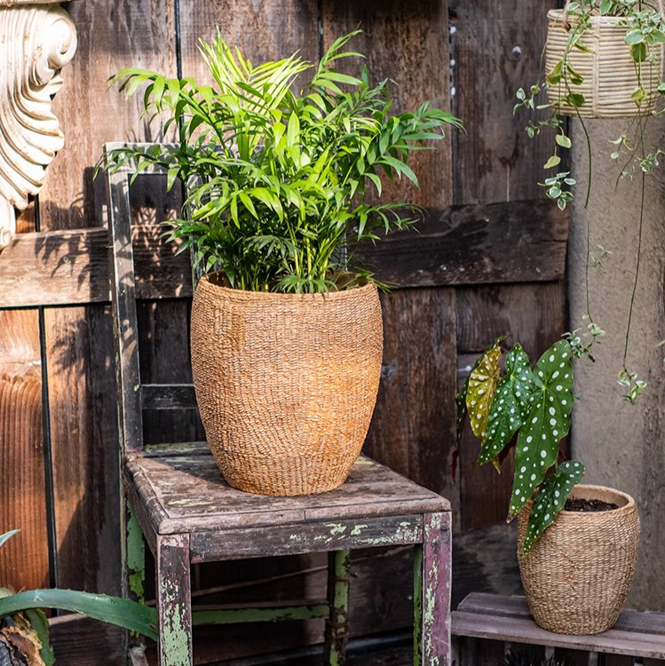 Faux Grass-Woven Cement Planter