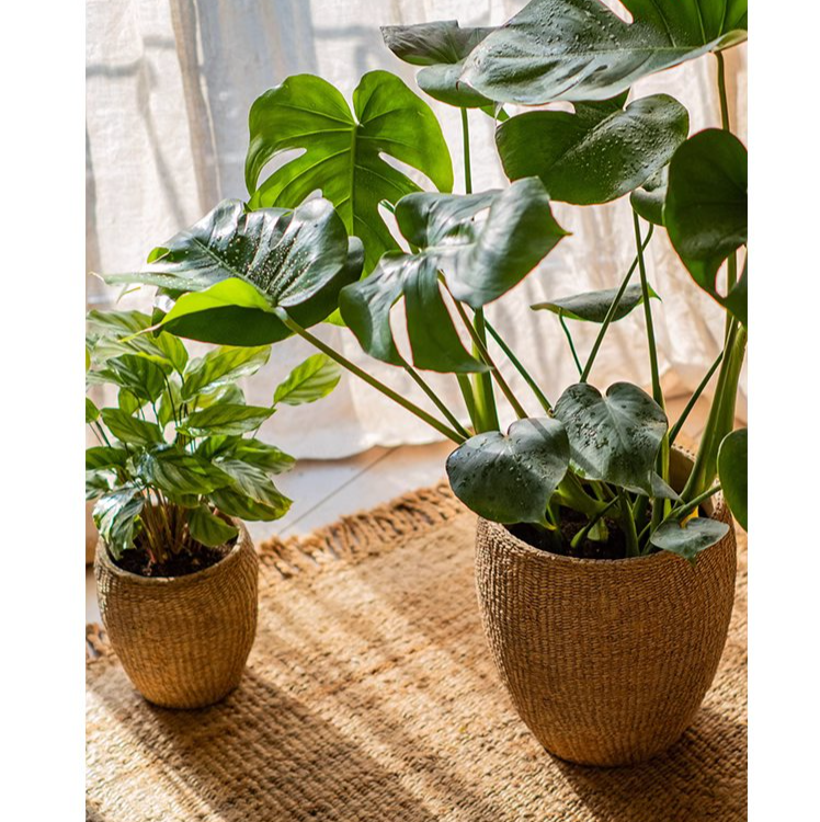 Faux Grass-Woven Cement Planter