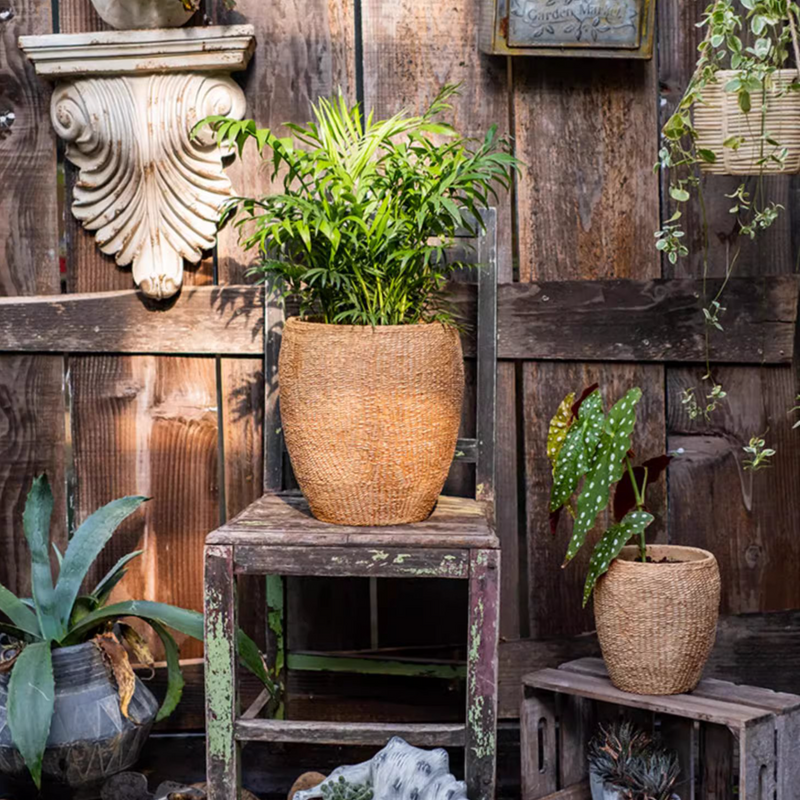 Faux Grass-Woven Cement Planter