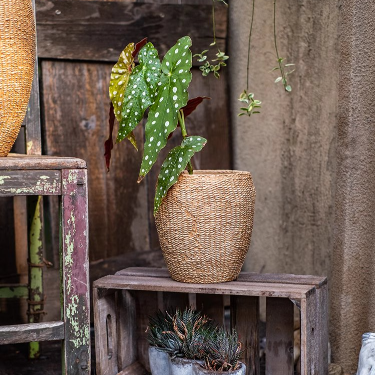 Faux Grass-Woven Cement Planter